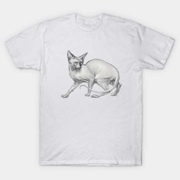 Realistic Sphinx Cat Graphite Drawing - Black and White Art T-Shirt by Vlad